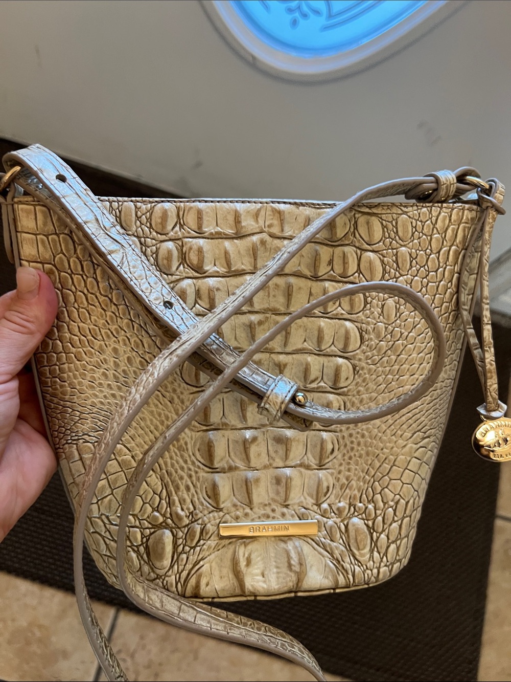 Brahmin bag